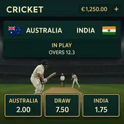 Alf Casino - Cricket Betting